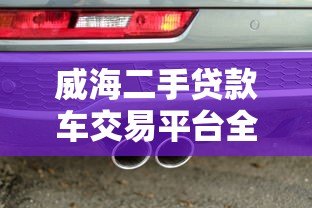 威海二手贷款车交易平台全攻略：省钱购车技巧与避坑指南