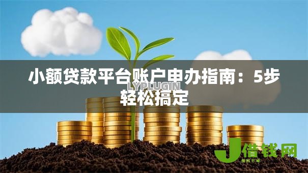 小额贷款平台账户申办指南：5步轻松搞定