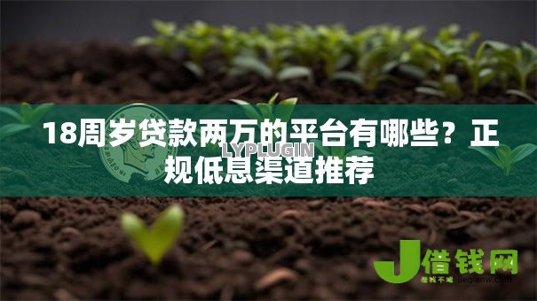 18周岁贷款两万的平台有哪些？正规低息渠道推荐