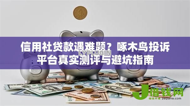 信用社贷款遇难题？啄木鸟投诉平台真实测评与避坑指南