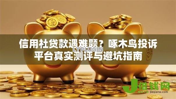 信用社贷款遇难题？啄木鸟投诉平台真实测评与避坑指南