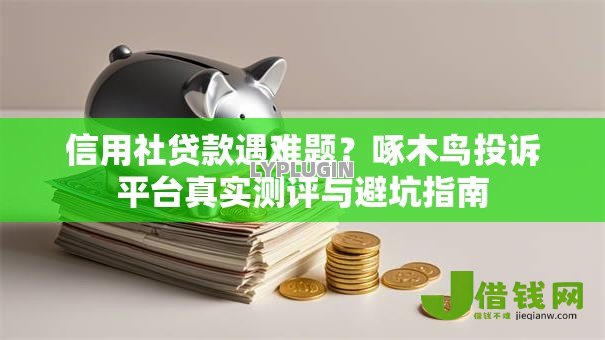 信用社贷款遇难题？啄木鸟投诉平台真实测评与避坑指南