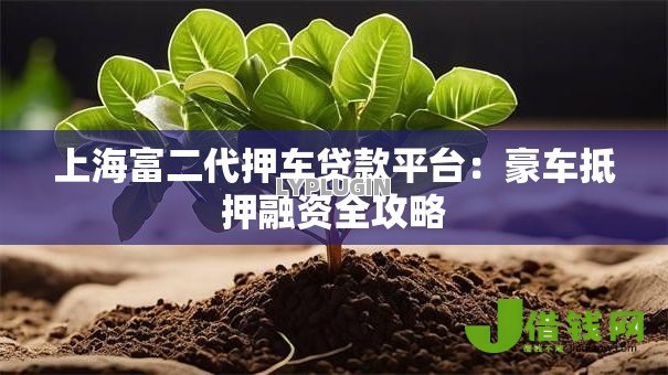 上海富二代押车贷款平台：豪车抵押融资全攻略