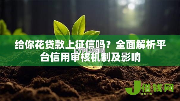 给你花贷款上征信吗？全面解析平台信用审核机制及影响