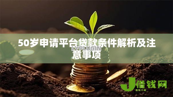 50岁申请平台贷款条件解析及注意事项 50岁申请平台贷款条件解析及注意事项