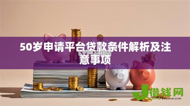 50岁申请平台贷款条件解析及注意事项 50岁申请平台贷款条件解析及注意事项