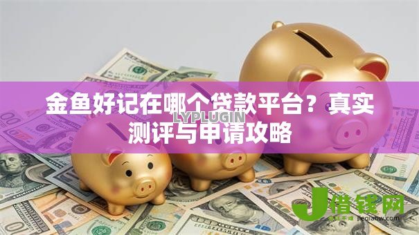 金鱼好记在哪个贷款平台？真实测评与申请攻略