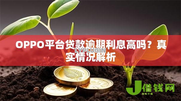 OPPO平台贷款逾期利息高吗？真实情况解析