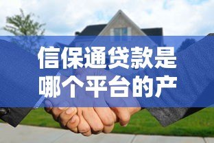 信保通贷款是哪个平台的产品？详细解析平台背景与特点