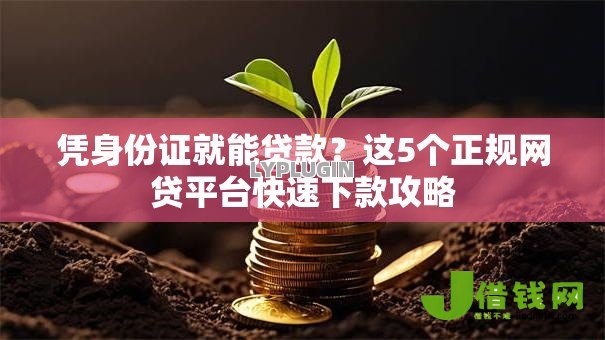 凭身份证就能贷款？这5个正规网贷平台快速下款攻略