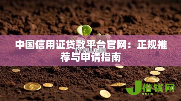 中国信用证贷款平台官网：正规推荐与申请指南
