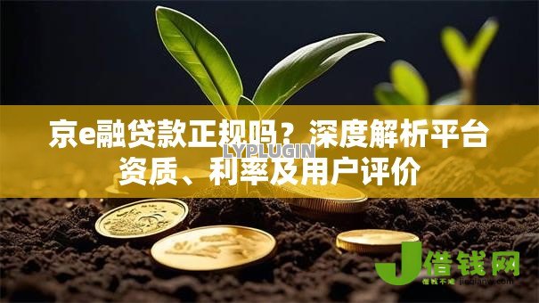 京e融贷款正规吗？深度解析平台资质、利率及用户评价