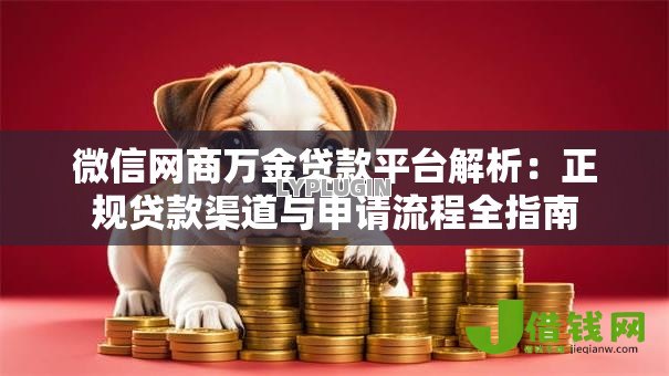 微信网商万金贷款平台解析：正规贷款渠道与申请流程全指南