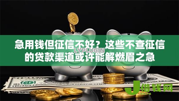 急用钱但征信不好？这些不查征信的贷款渠道或许能解燃眉之急