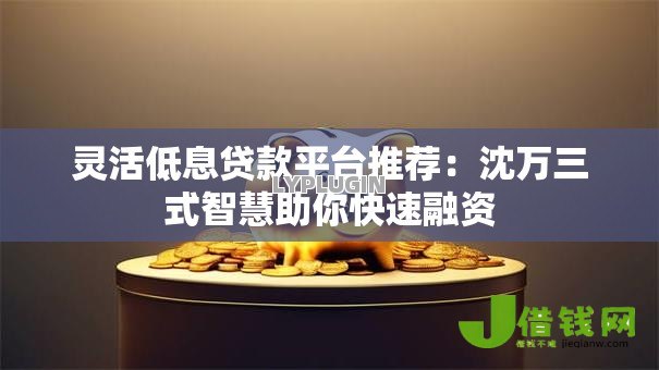 灵活低息贷款平台推荐：沈万三式智慧助你快速融资