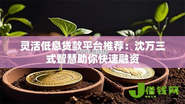 灵活低息贷款平台推荐：沈万三式智慧助你快速融资