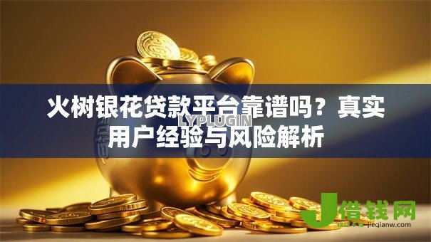 火树银花贷款平台靠谱吗?真实用户经验与风险解析 火树银花贷款平台靠谱吗?真实用户经验与风险解析