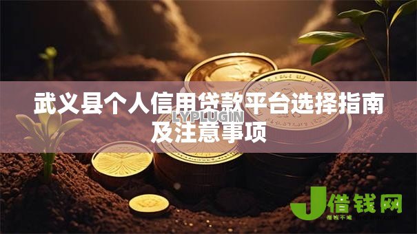武义县个人信用贷款平台选择指南及注意事项