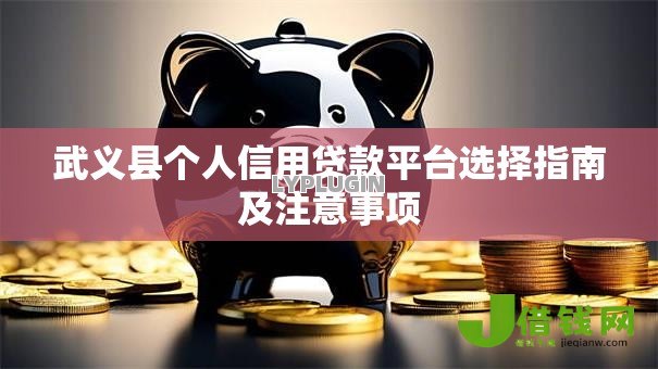 武义县个人信用贷款平台选择指南及注意事项