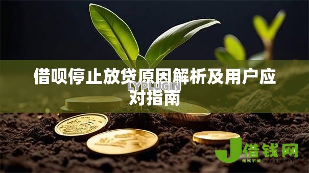 借呗停止放贷原因解析及用户应对指南