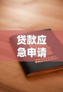 贷款应急申请平台官网填写指南：快速申请与安全操作解析