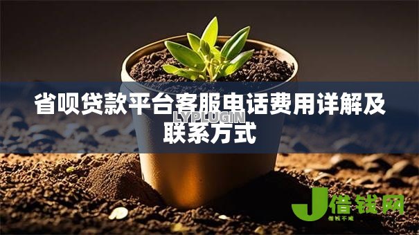 省呗贷款平台客服电话费用详解及联系方式