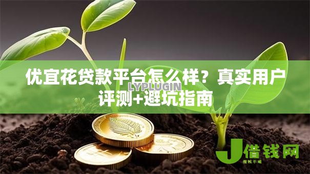 优宜花贷款平台怎么样？真实用户评测+避坑指南