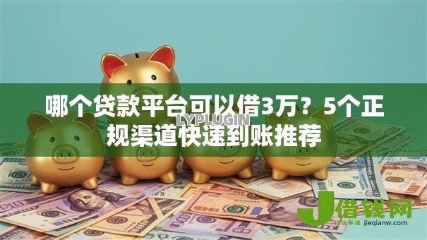 哪个贷款平台可以借3万？5个正规渠道快速到账推荐