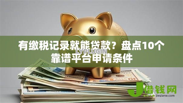 有缴税记录就能贷款？盘点10个靠谱平台申请条件