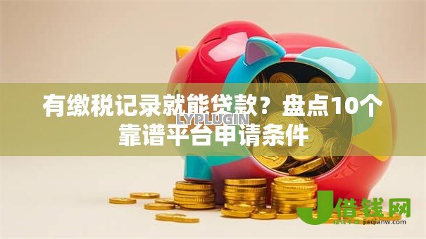 有缴税记录就能贷款？盘点10个靠谱平台申请条件