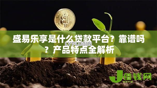 盛易乐享是什么贷款平台？靠谱吗？产品特点全解析