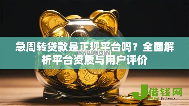 急周转贷款是正规平台吗？全面解析平台资质与用户评价