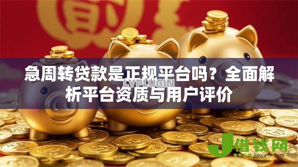 急周转贷款是正规平台吗？全面解析平台资质与用户评价
