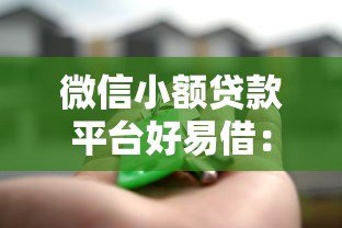 微信小额贷款平台好易借:快速下款、低门槛的借款攻略 微信小额贷款平台好易借:快速下款、低门槛的借款攻略