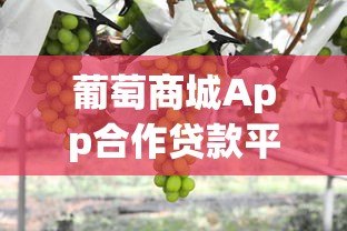 葡萄商城App合作贷款平台有哪些?最新借款渠道解析 葡萄商城App合作贷款平台有哪些?最新借款渠道解析