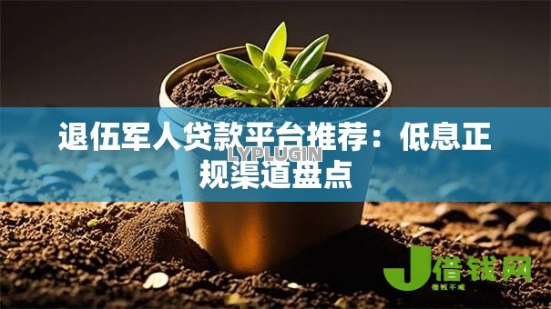 退伍军人贷款平台推荐：低息正规渠道盘点