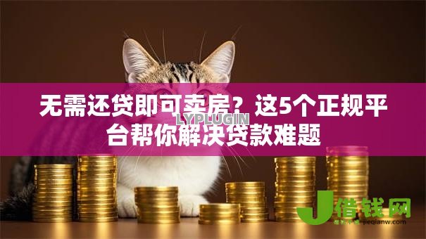 无需还贷即可卖房？这5个正规平台帮你解决贷款难题