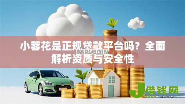 小蓉花是正规贷款平台吗？全面解析资质与安全性
