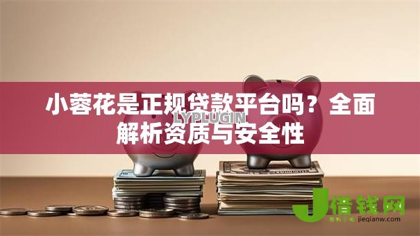 小蓉花是正规贷款平台吗？全面解析资质与安全性