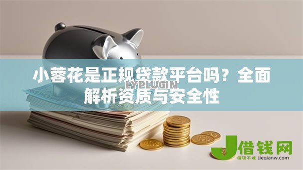 小蓉花是正规贷款平台吗？全面解析资质与安全性