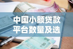 中国小额贷款平台数量及选择指南