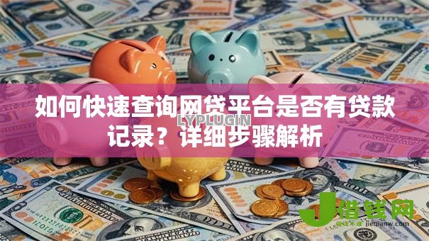 如何快速查询网贷平台是否有贷款记录？详细步骤解析
