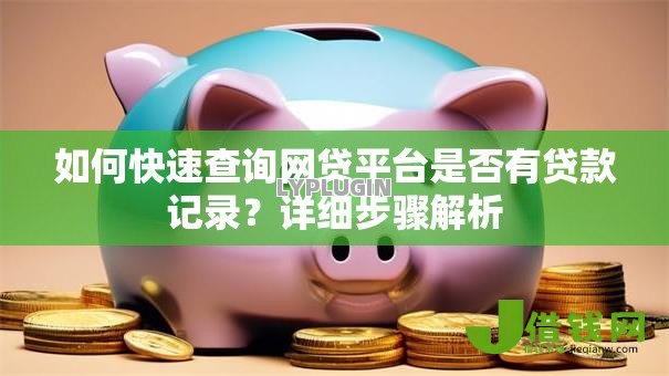 如何快速查询网贷平台是否有贷款记录？详细步骤解析