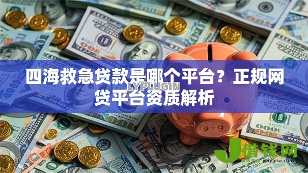 四海救急贷款是哪个平台？正规网贷平台资质解析