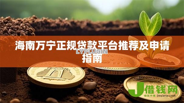 海南万宁正规贷款平台推荐及申请指南
