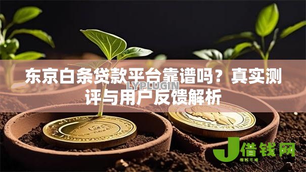 东京白条贷款平台靠谱吗?真实测评与用户反馈解析 东京白条贷款平台靠谱吗?真实测评与用户反馈解析