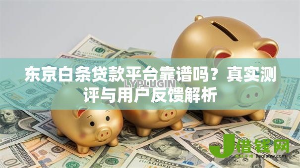 东京白条贷款平台靠谱吗?真实测评与用户反馈解析 东京白条贷款平台靠谱吗?真实测评与用户反馈解析