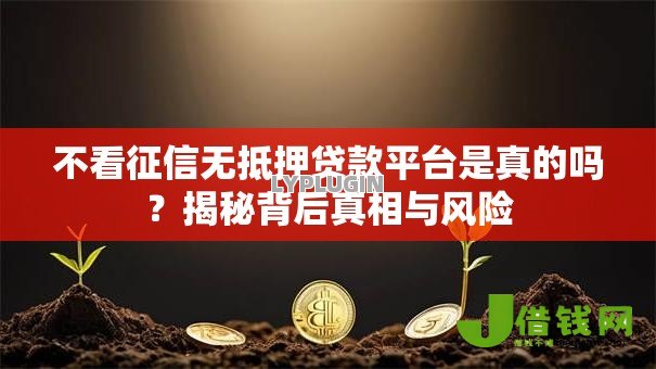 不看征信无抵押贷款平台是真的吗?揭秘背后真相与风险 不看征信无抵押贷款平台是真的吗?揭秘背后真相与风险