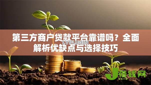 第三方商户贷款平台靠谱吗？全面解析优缺点与选择技巧