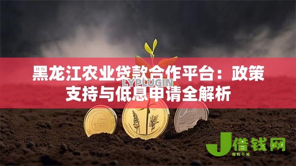 黑龙江农业贷款合作平台:政策支持与低息申请全解析 黑龙江农业贷款合作平台:政策支持与低息申请全解析